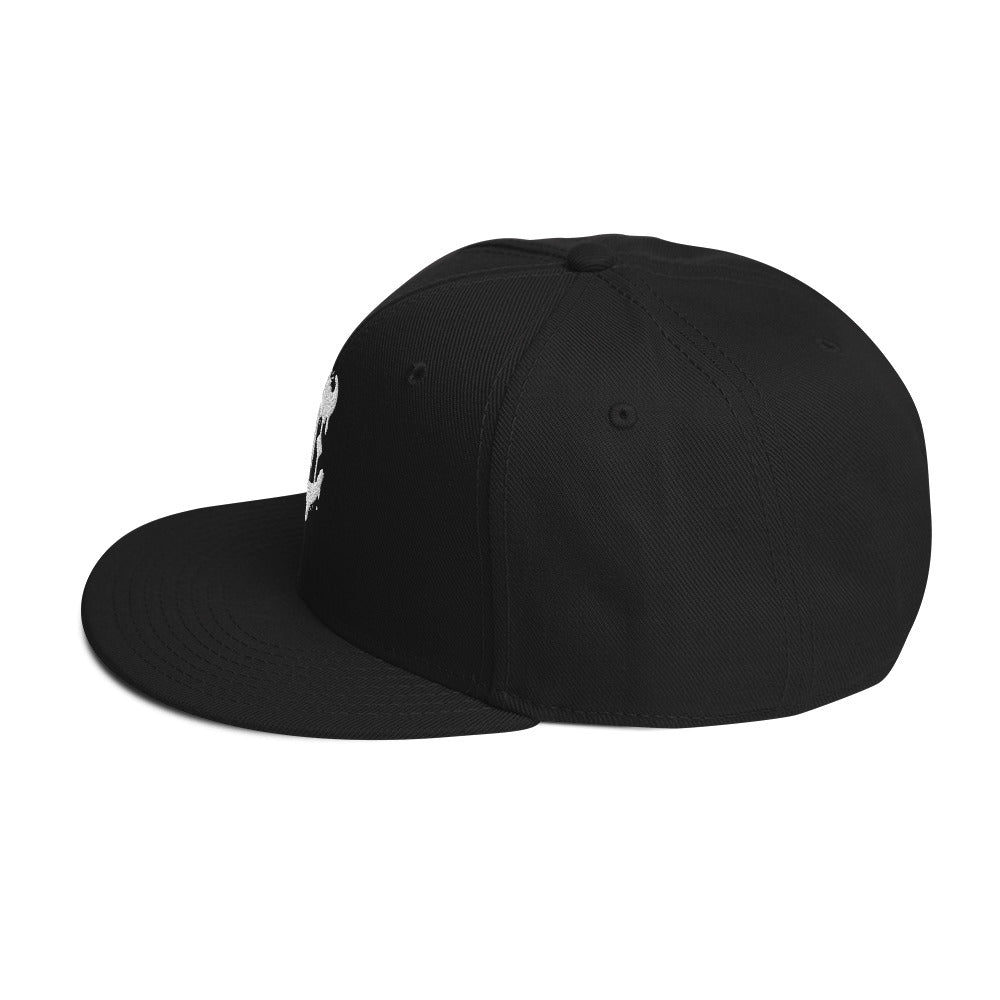 Drippy T Snapback