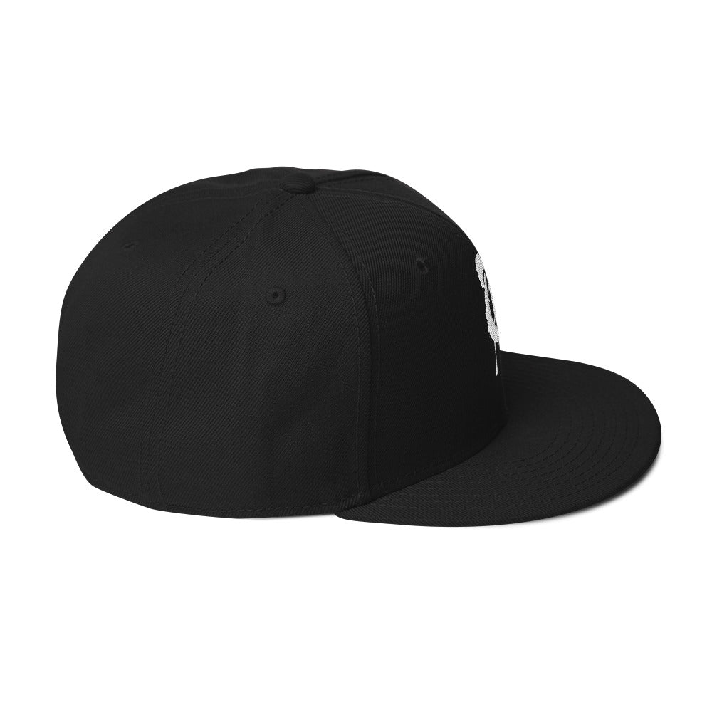 Drippy T Snapback